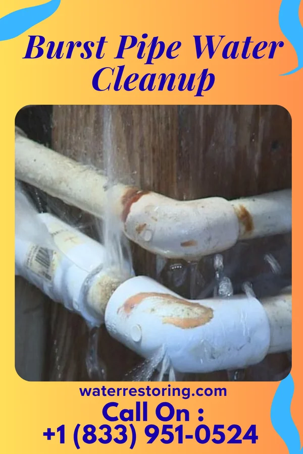Burst Pipe Water Cleanup in St. Paul, KS